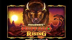 buffalo rising